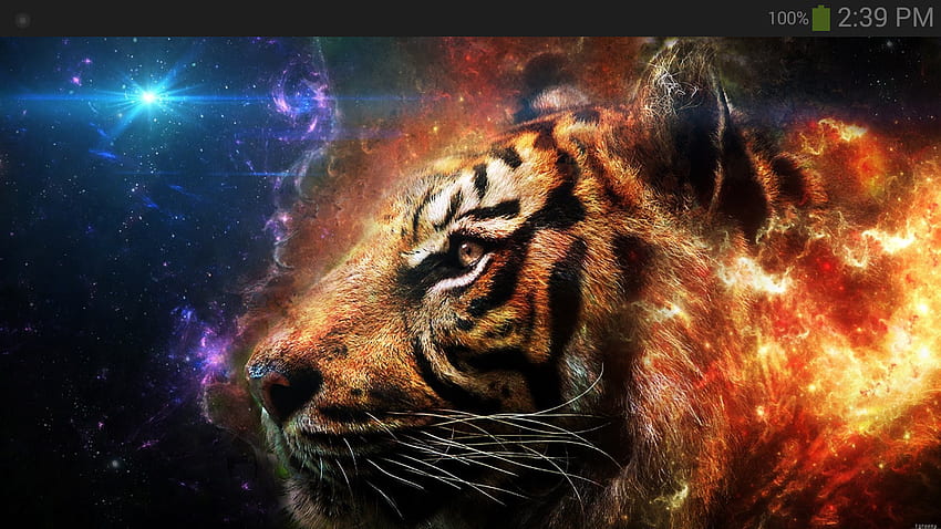Tiger : Appstore for Android, Beautiful Abstract Tiger HD wallpaper | Pxfuel