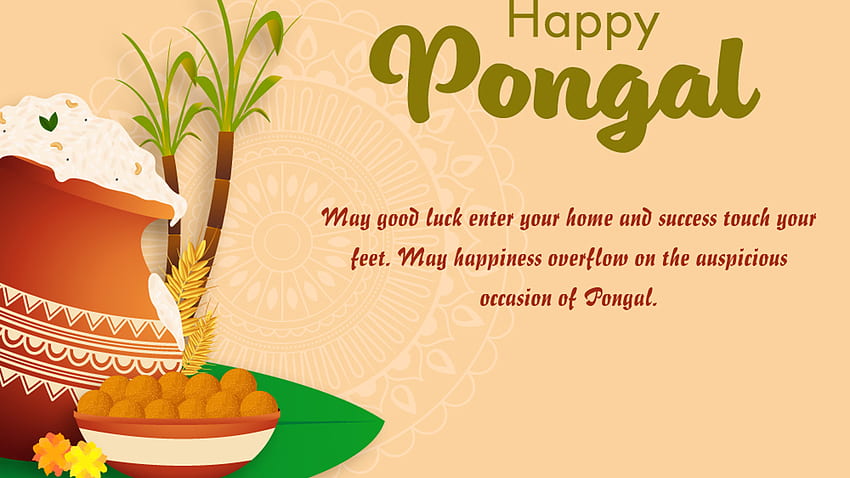May Good Luck Enter Your Home And Success Touch Your Feet May Happiness Overflow On The Auspicious Occasion Of Pongal Pongal HD wallpaper