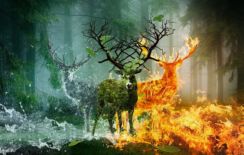 Water, Fire, Animals, Deer, Fiction, Horn earth for , section рендеринг, Water vs Fire HD wallpaper