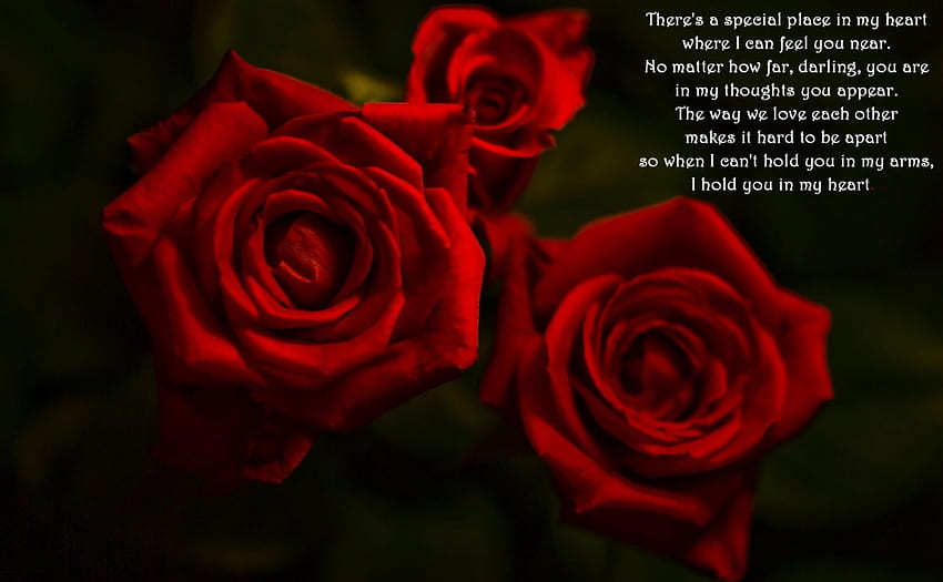 I Hold You In My Heart, roses, gorgeous, beautiful, precious, valentine, love, red, birtay, poem, happy, romantic, forever HD wallpaper