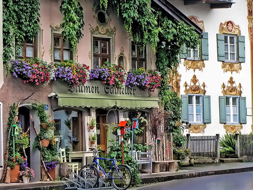 ドイツの家、通り、ドイツ、自然、花 高画質の壁紙