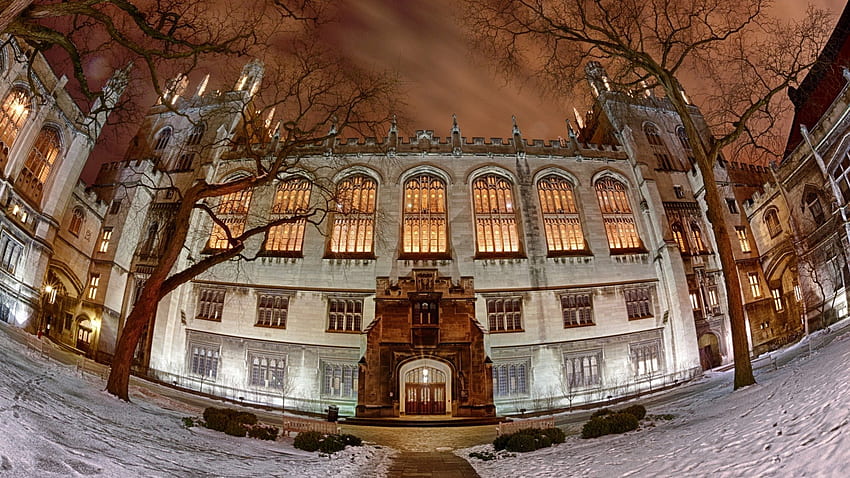 biblioteca Harper all'università di Chicago in inverno r, inverno, notte, alberi, r, biblioteca, fisheye Sfondo HD