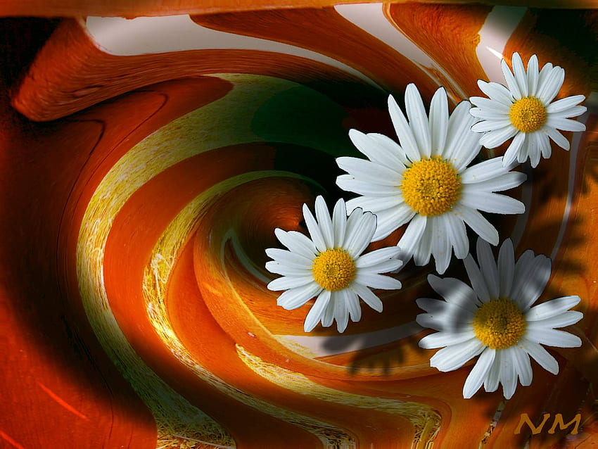 Vanila Flowers, cool, calm, lovely, imaginary HD wallpaper
