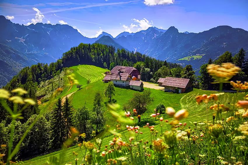 Eslovenia, Alpes, colinas, hermoso, hierba, pacífica, casas, montaña, verano, wiildflowers, Europa, vista, cielo, pueblo fondo de pantalla