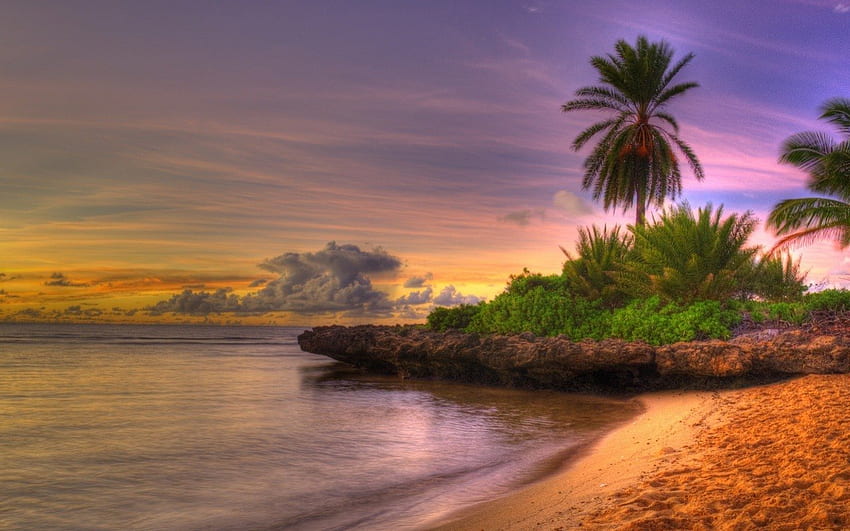 Beautiful scenery, palm tree, plants, coast, sands, landscape, bay, sky, nature HD wallpaper
