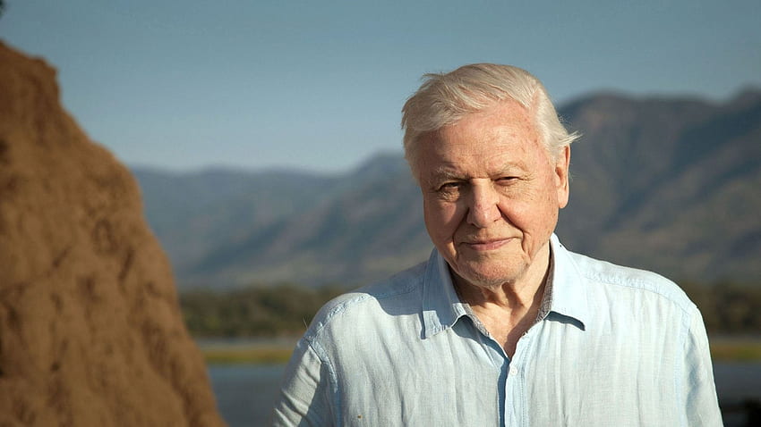 David Attenborough: Una vida en nuestro planeta + Preguntas y respuestas satelitales - This is Clapham fondo de pantalla