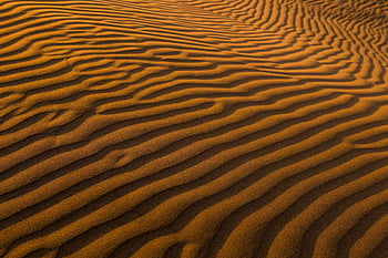 Sand Dunes , Desert, Landscape, Evening, Windows 10X, Microsoft Surface ...