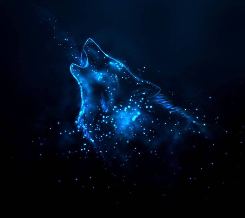 star wolf by sandanil74 - 9c, Midnight Wolf HD wallpaper