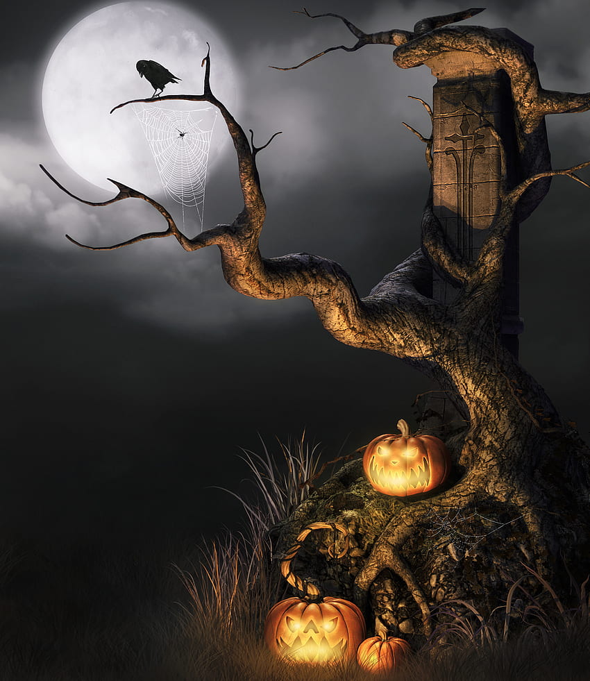 Holidays, Halloween, Pumpkin HD phone wallpaper