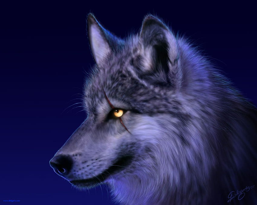 늑대 배경, , , . 디자인 트렌드 - 프리미엄 PSD, Vector s, Midnight Wolf HD 월페이퍼