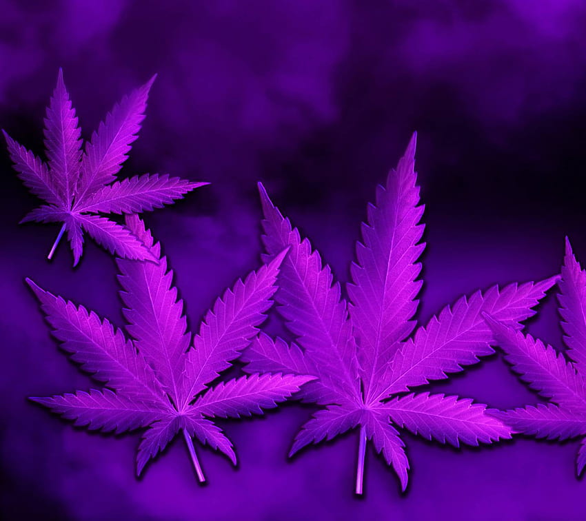 Purple Haze HD wallpaper | Pxfuel