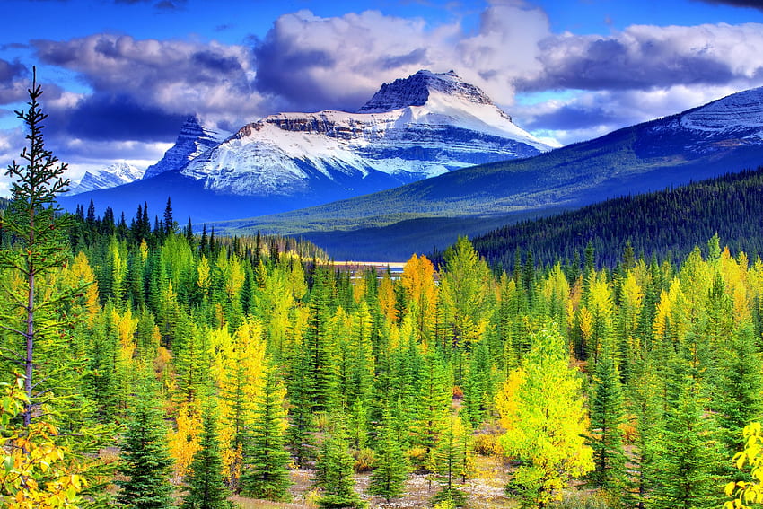 AUTUMN, dedaunan, alam yang mempesona, lanskap, awan, alam, musim, kemegahan Wallpaper HD