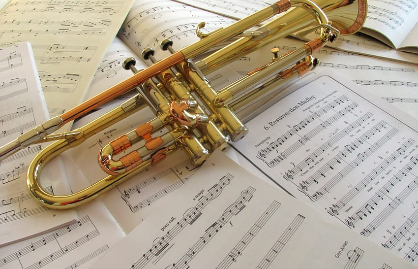 Airs de trompette, cuivre, notes, musique, instrument, graphie, trompette, papier, airs Fond d'écran HD