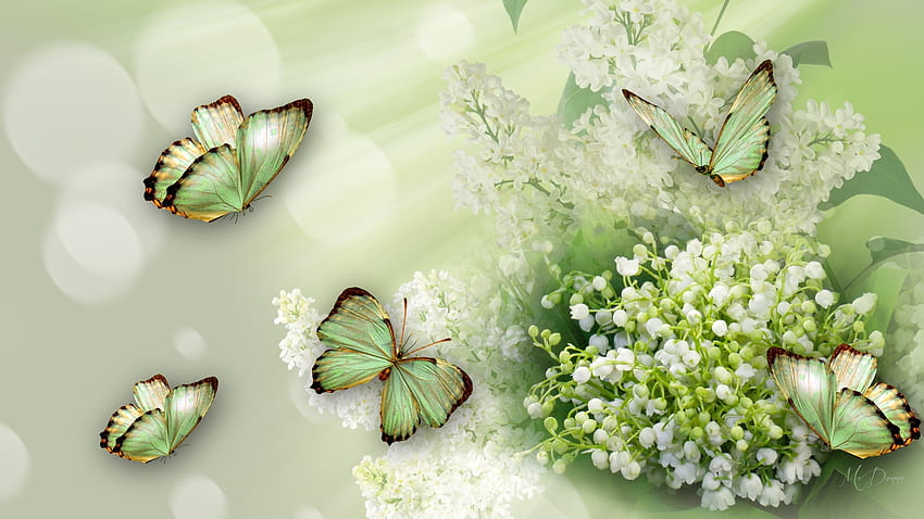 Primavera, bokeh, capullos, lirio de los valles, floral, tema Firefox Persona, mariposas, flores, verde, flores fondo de pantalla