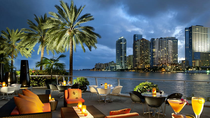 miami, florida, usa, city, ocean, bay, coffee, palm trees, tables , Florida Beach HD wallpaper