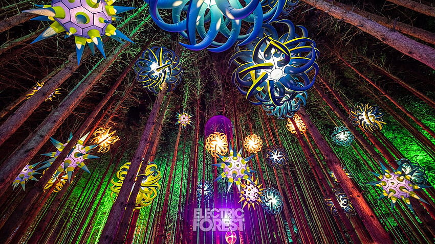 Electric Forest ⚡, Electric Current HD wallpaper