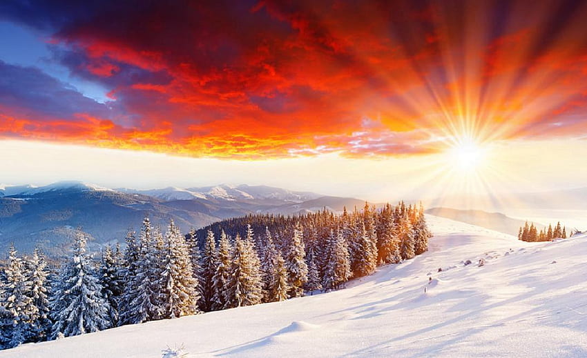 Слънце, планина, слънчеви лъчи, сняг, дървета, природа, небе, слънце HD тапет