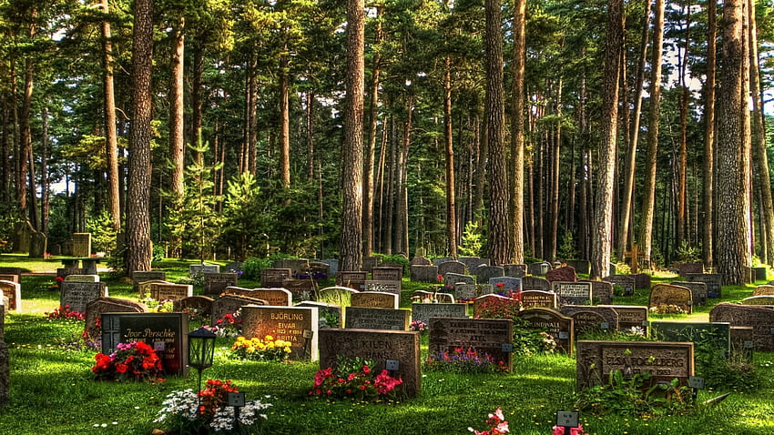 serene cemetery, cemetery, head stones, flowers, grass, forest HD wallpaper