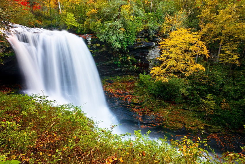 Cascata autunnale, colorata, foglie, caduta, alberi, cascata, autunno, bella, foresta Sfondo HD