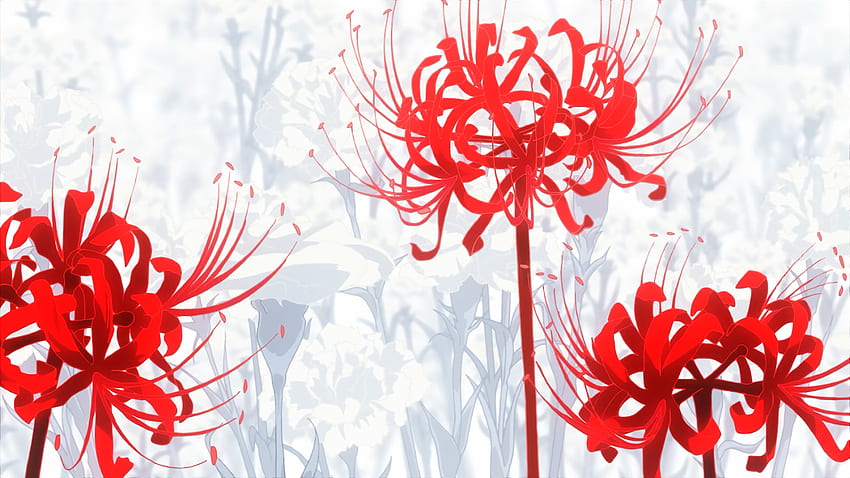 ลิลลี่แมงมุมแดง..โตเกียวกูล. โตเกียวปอบ ดอกไม้โตเกียวปอบ วาดดอกลิลลี่ วอลล์เปเปอร์ HD