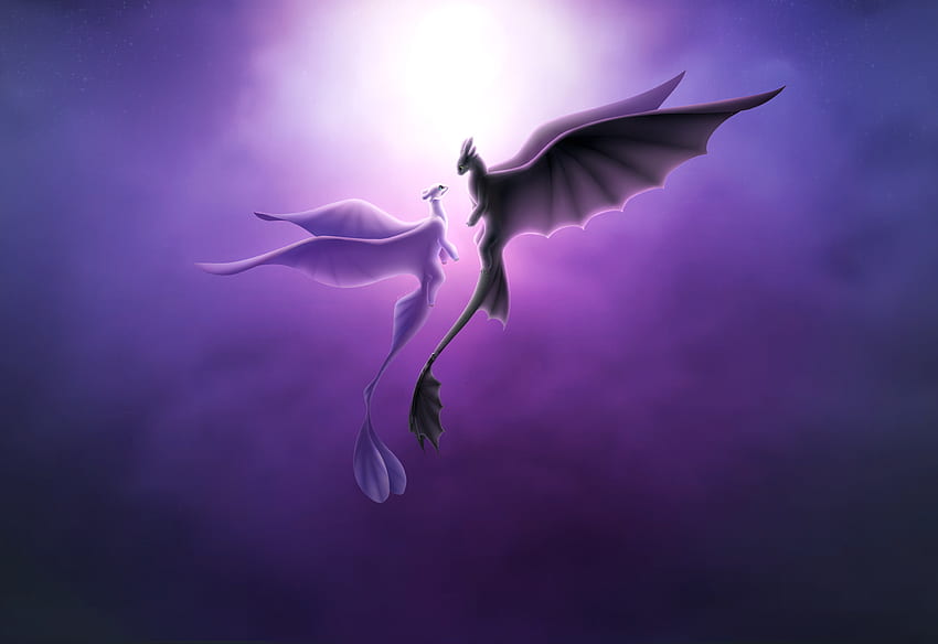 Toothless and light fury, romantic, love, Dragons HD wallpaper