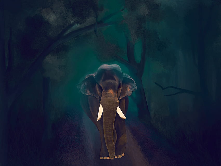 Digital painting kerala elephant by Renjith Ravindran on Dribbble HD wallpaper
