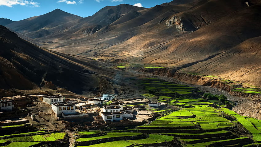 china, tibet, himalayas, fields, Tibet Himalayan HD wallpaper