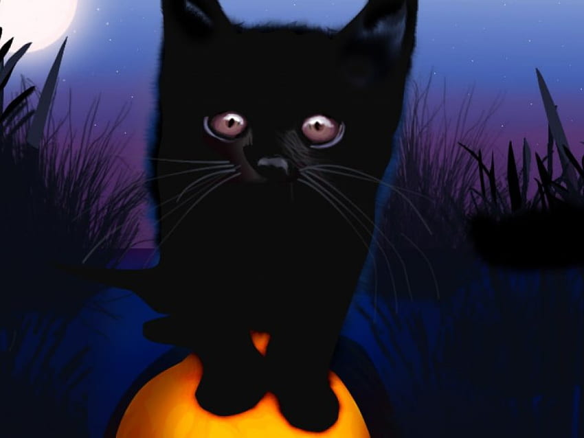BLACK KITTEN, kitten, purple, eyes, black HD wallpaper
