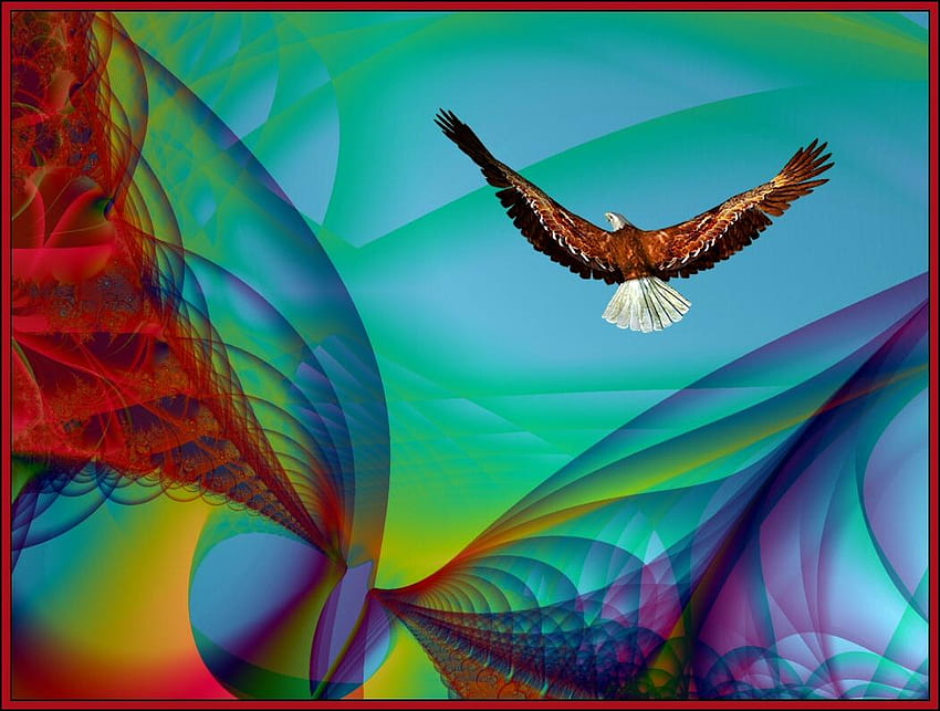 Eagle in flight, sky, abstract, eagle HD wallpaper