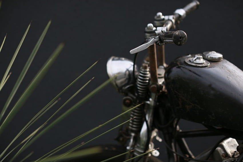 harley, motorcycle, bike, chopper HD wallpaper