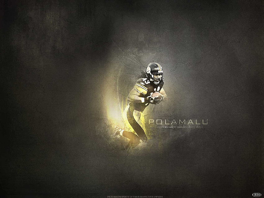 troy polamalu HD wallpaper