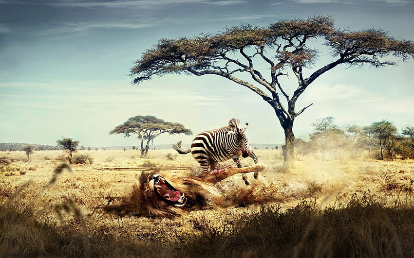 Africa For And Mobile, African Wildlife HD wallpaper