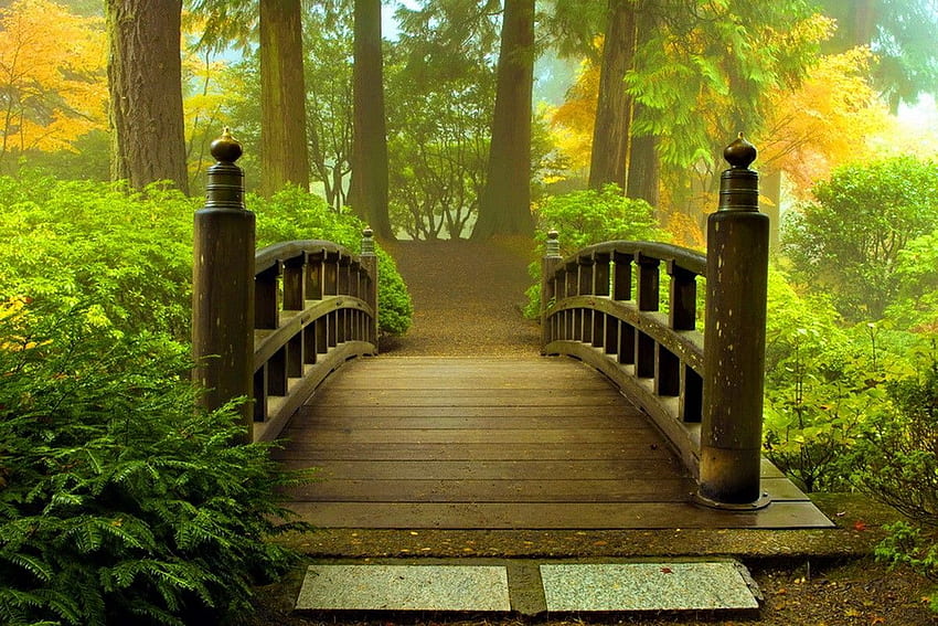 Мостове: Японски мост Дървени Хубави летни дървета Горска зеленина HD тапет
