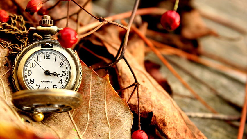 Piękny zabytkowy zegarek. Zegar , Vintage zegarek kieszonkowy, vintage Tapeta HD