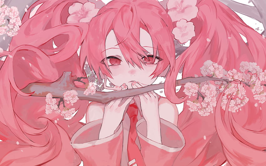 Pc Anime Rose Pastel , Anime Rose Pastel Fond d'écran HD