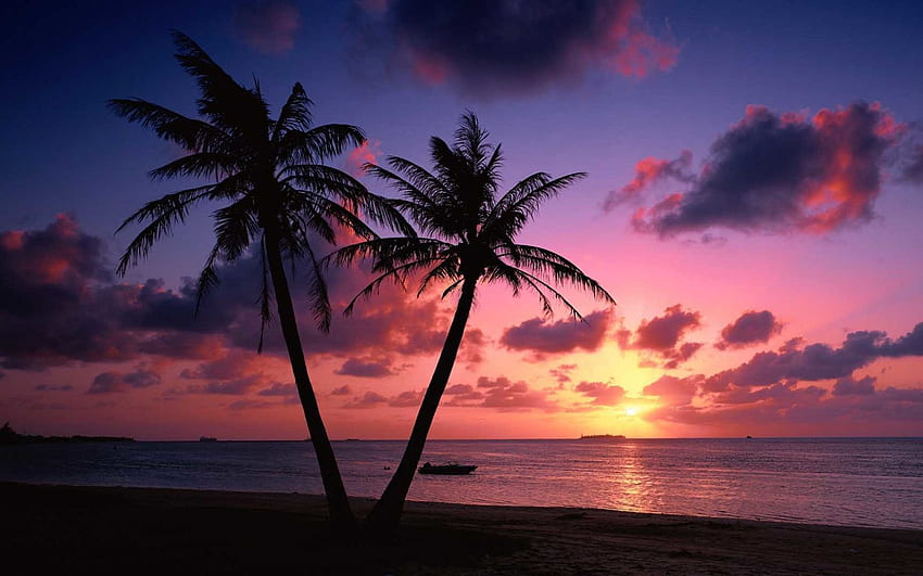 Strand-Sonnenuntergang - [] für Ihr , Handy & Tablet. Entdecken Sie Pink Sunset. Rosa Sonnenuntergang, rosa Sonnenuntergang, rosa Sonnenuntergang HD-Hintergrundbild