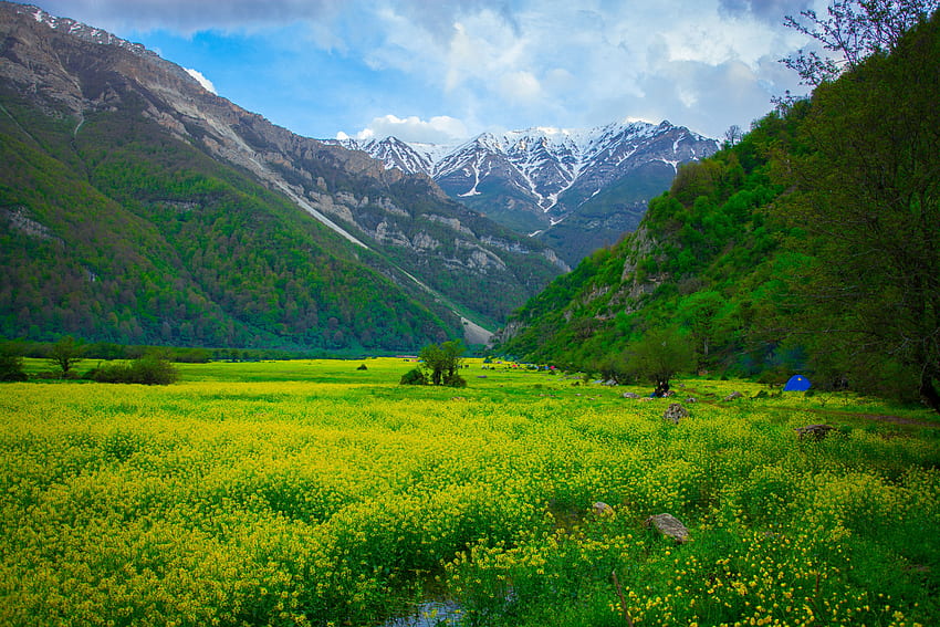 Landscape, Nature, Flowers, Mountains, Polyana, Glade HD wallpaper