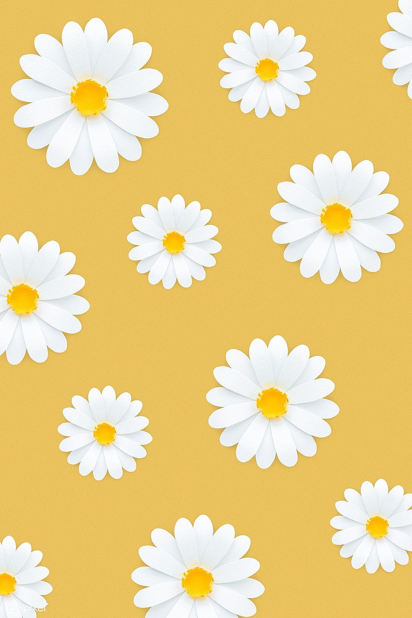 premium dari pola bunga aster putih dengan latar belakang kuning, aster kuning wallpaper ponsel HD
