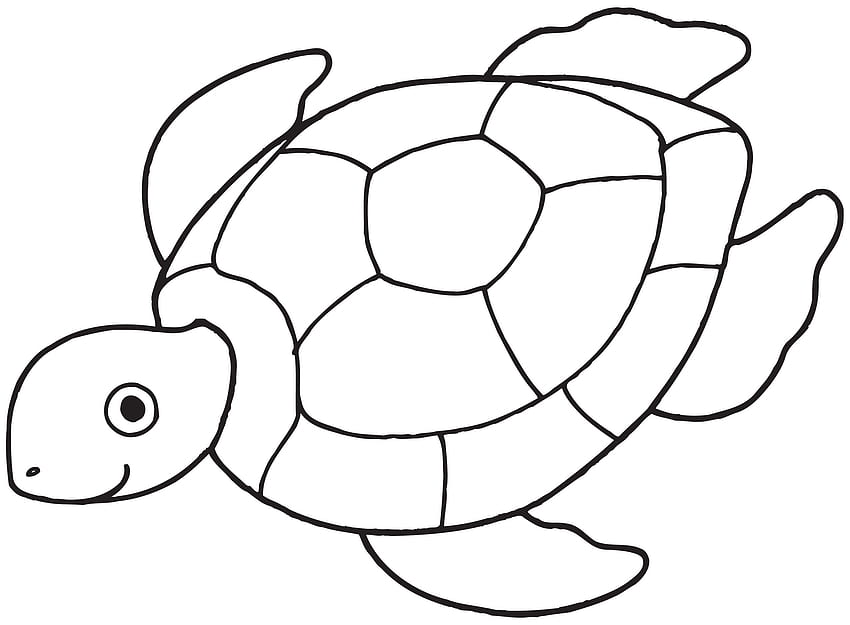 zabawny żółw. do użytku osobistego, Cute Cartoon Turtle Tapeta HD