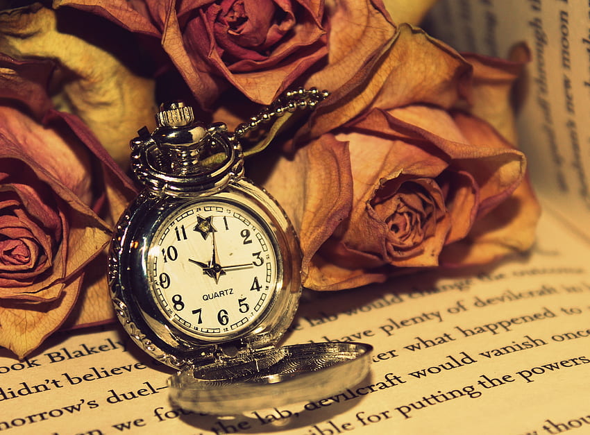 Roses, Clock, , , Reading, Read HD wallpaper