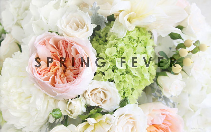 : Spring fever – House Mix, Rustic Spring HD wallpaper