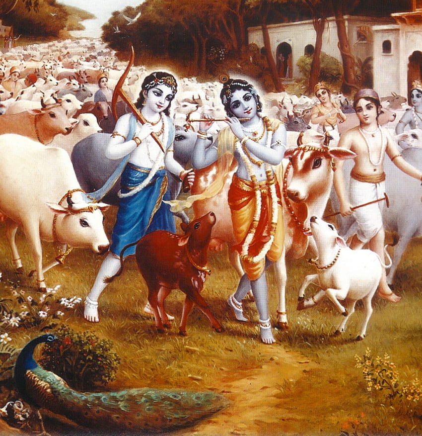 Krishna With Cows Janmashtami Mobile Version, Krishna and Cow HD phone wallpaper