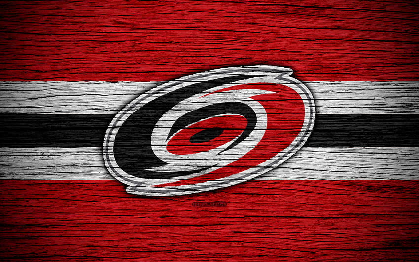 Carolina Hurricanes grunge art, American hockey club, logo, red