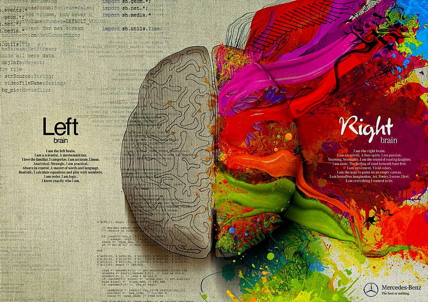 Pics Right Brain Vs Left Brain Facts [] pour votre, Mobile & Tablet. Explorez le cerveau gauche le cerveau droit. Cerveau gauche Cerveau droit , Cerveau Fond d'écran HD