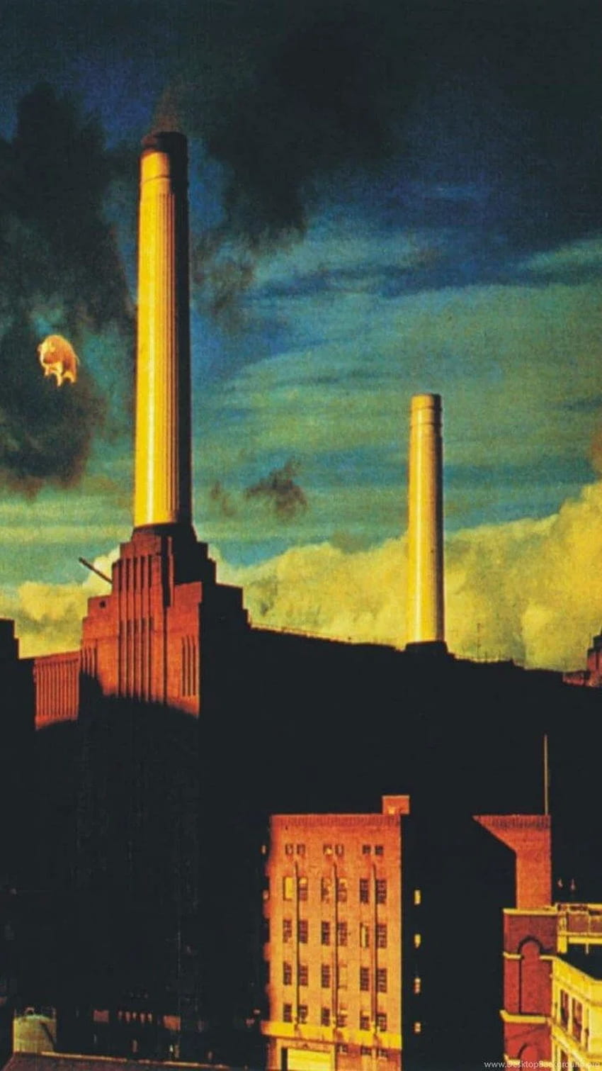 200 Pink Floyd Wallpapers  Wallpaperscom