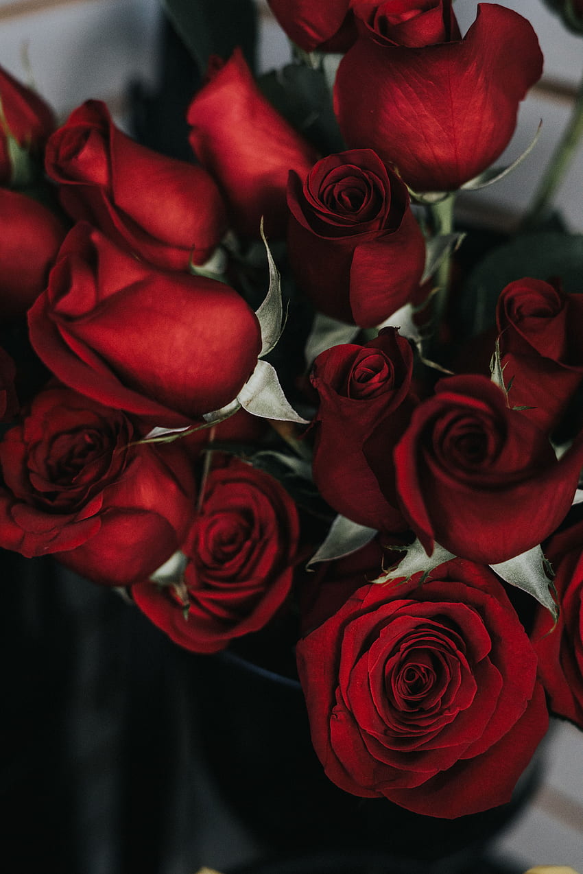 Fiori, rose, petali, bouquet Sfondo del telefono HD