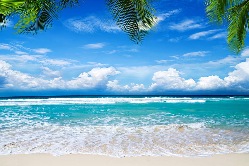Bonita mañana, azul, cielo, naturaleza, playa. fondo de pantalla