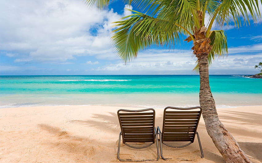 Hawaii Beach [] para tu móvil y tableta. Explora la playa de Hawái. Playa , Playa tropical , Playa tropical, Escenas de playa de Hawái fondo de pantalla