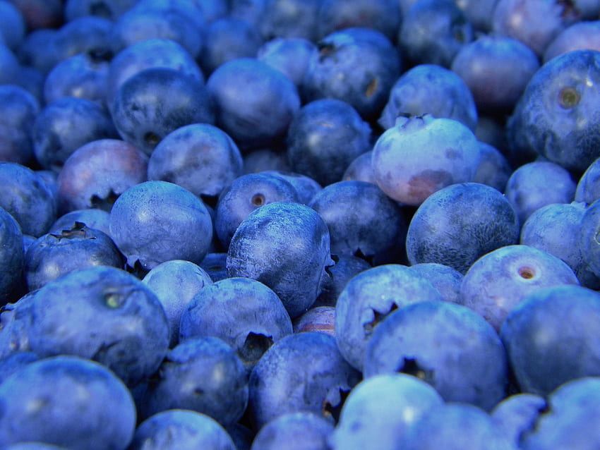 Makanan, Blueberry, Bilberry, Berries Wallpaper HD