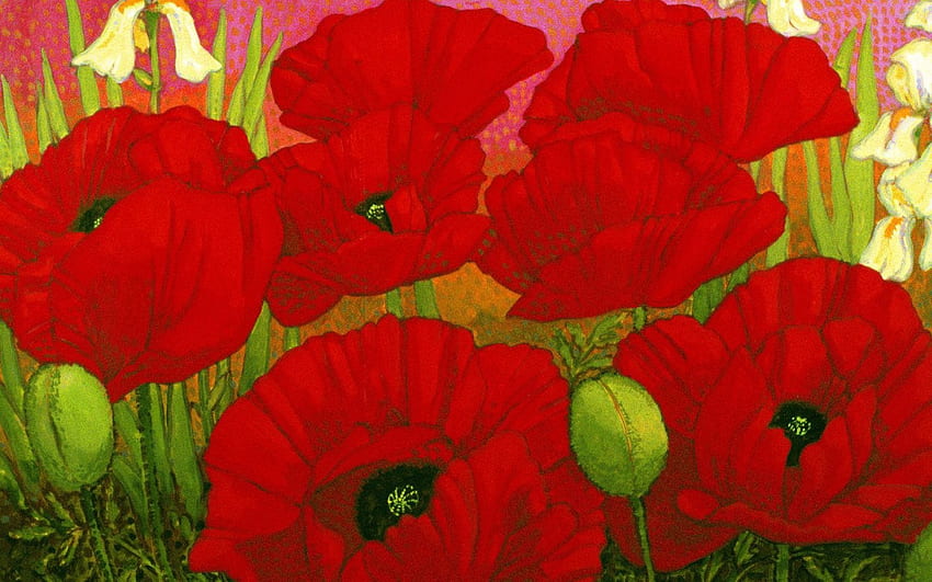 poppies20., amapolas, flores, rojo fondo de pantalla